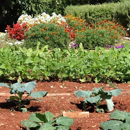 Apartmán With A Parking Space Mirca, Brac - 728